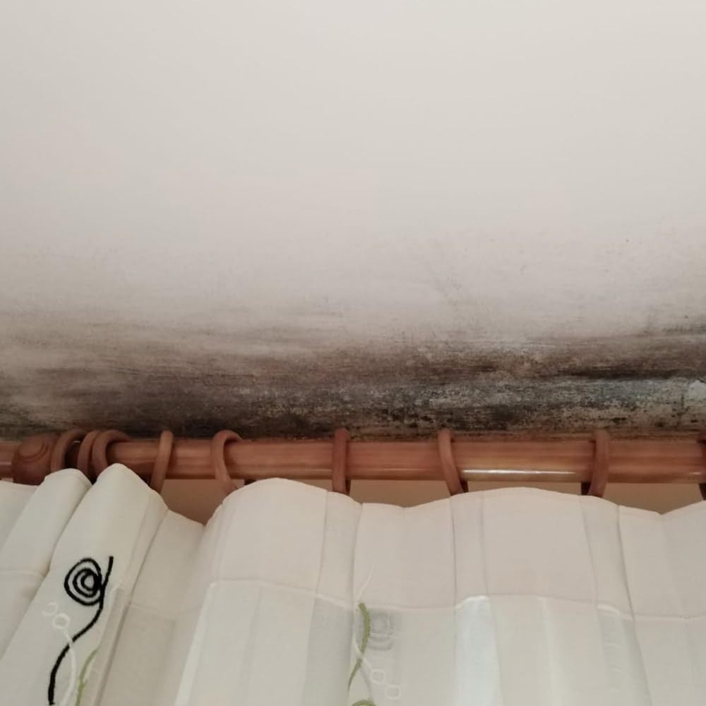 Detergente Limpiador Antihumedades 5L Sin Cloro y Sin Disolventes | Elimina las manchas de humedad sin aclarado. Ideal para paredes interiores y techos de baños, habitaciones. Sin olores.