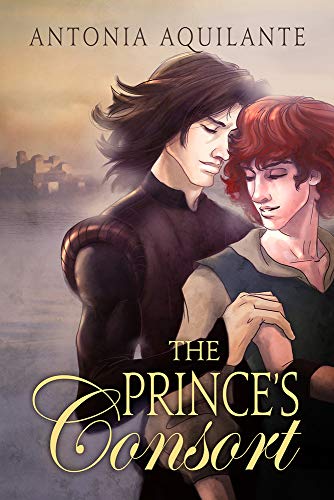The Prince's Consort view 2