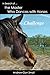 In Search of the Master Who Dances with Horses: Challenge
