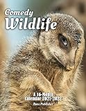 Independently published