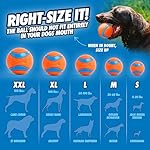 Chuckit! Ultra Ball Dog Toy - Size Large - For Dogs 60-100 lbs - Made from Durable Rubber - Super Bouncy - Floats in Water - 3-inch Diameter - Pack of 1 - Image 4