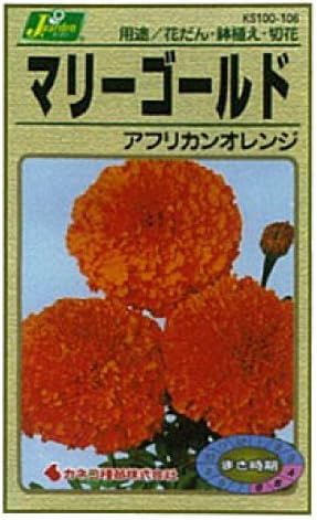 Amazon カネコ種苗 園芸 種 Ks100シリーズ マリーゴールド アフリカンオレンジ 草花100 106 花 Amazon カネコ種苗 園芸 種 Ks100シリーズ マリーゴールド アフリカンオレンジ 草花100 106 花