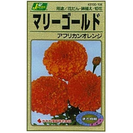 Amazon カネコ種苗 園芸 種 Ks100シリーズ マリーゴールド アフリカンオレンジ 草花100 106 花 Amazon カネコ種苗 園芸 種 Ks100シリーズ マリーゴールド アフリカンオレンジ 草花100 106 花
