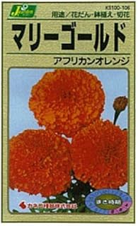 Amazon Co Jp マリーゴールド 種 Amazon Co Jp マリーゴールド 種