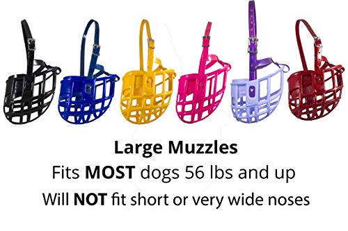 https://m.media-amazon.com/images/I/514SIOteGaL._SL500_.jpg