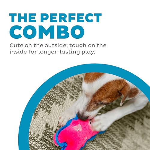 Outward Hound Durablez Minis – Squeaky Plush Dog Toy, No Stuffing for Less Mess, Interactive & Tough, Jumbo Squeaker, Puppies & Small Dogs, Pig, 6.8" by Outward Hound - Image 2