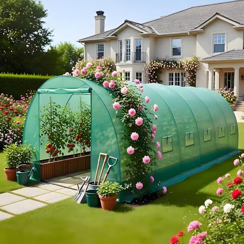BIRCHTREE plenty-galvanized polytunnel greenhouse with stainless steel frame 6 sections 6m x 3m x 2m