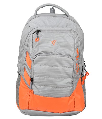 The Vertical Zest Polyester 22L Laptop Backpack for Unisex - Grey (B01N3TDKHG) Amazon Price History, Amazon Price Tracker