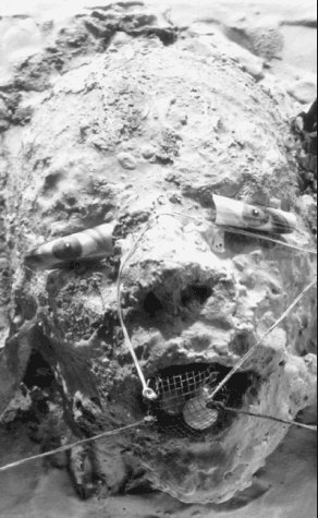 Metahorror 1880418029 Book Cover