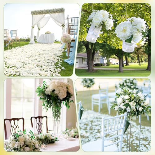 1500 pétalos de hortensia blanca natural seca 30g miniatura 4