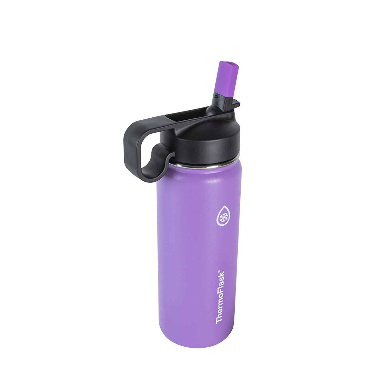 18 oz Double Wall Vacuum Insulated Stainless Steel Water Bottle with Spout and Straw Lids, Plum