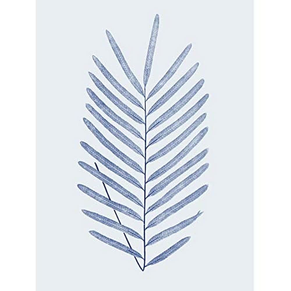 Wee Blue Coo Botanics Cobalt Fern Diversifolium Art Print Canvas Premium Wall Decor Poster