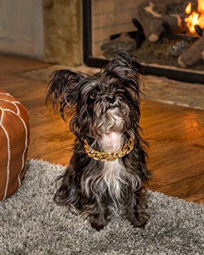 Rose Gold Link Chain Necklace for Dogs - 27 cm - Tiny Bling for Small Dog or Puppy - Lightweight Braided Metal Look - Fits Chihuahua, Yorkie, Mini Breeds,Cute Pet Jewelry and Accessories (Rose Gold) - Image 9