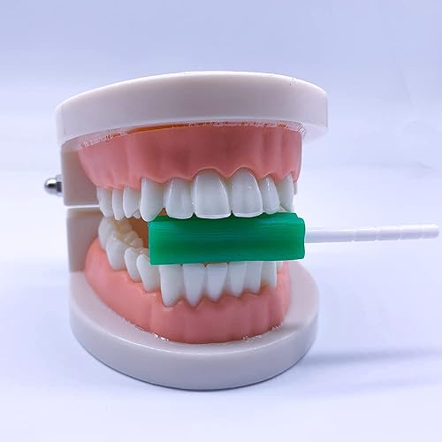Miniatura 3 de Orthodontics - Bandejas masticables para alineadores Invisalign, 10 masticables, aroma a menta, cuboide, antideslizante (paquete de 10, verde)