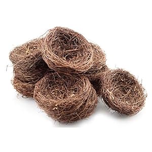 Exasinine 10 Pcs 5.5'' Artificial Bird Nest for Crafts, Easter, Party, Wedding, Patio Garden, Succulent Planter, Moss Landscape, DIY Terrarium and Spring Vignettes (5.5 Inches) Exasinine 10 Pcs 55 Artificial Bird Nest for Crafts Easter Party Wedding Patio Garden Succulent Planter Moss Landscape DIY Terrarium and Spring Vignettes 55 Inches