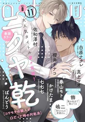 gateau (ガトー) 2025年11月号[雑誌] ver.B