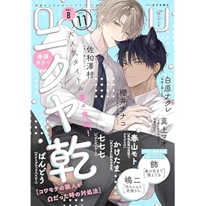 ④BL本まとめ売り　ボーイズラブコミックス　BOYS LOVE COMICS LOVE xxx BOYS（ラブキスボーイズ）編集部 (@lovexxxboys) / X