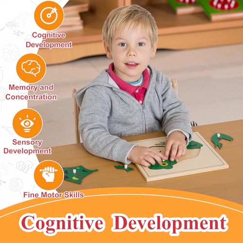 Image of Montessori Outlet Frog Puzzle for 3-6 Years Montessori Education at School and Home