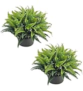 Haute Decor Set of 2 Artificial Fern and Eucalyptus Pot Fillers for Outside - 24 Inch Wide Adjust...