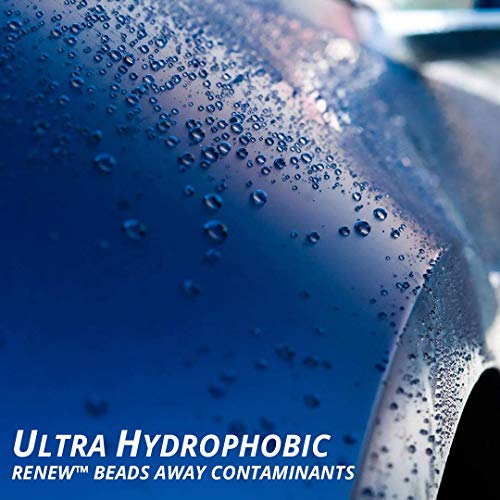 System X Renew Ceramic Spray Coating - Ultra Hydrophobic Diy Ceramic Nano Coat - Super Slick Finish & Feel - Superior To Wax & Polymer Sealants - 9+ Months Of True Sio2 Paint Protection (16.9 Fl Oz) #TOP3