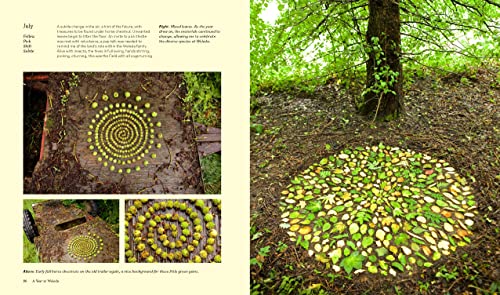 Schiffer Publishing 9780764366055 Land Art: Creating Artworks In And thumb #6