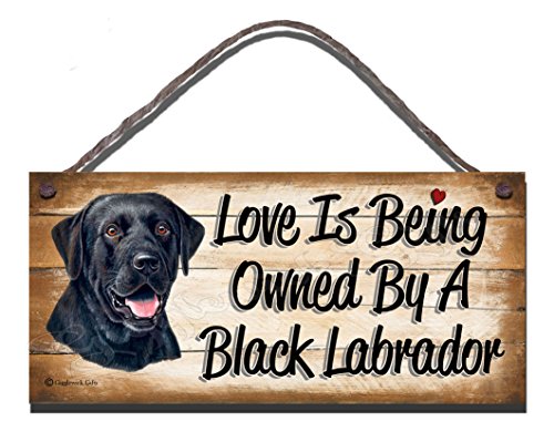 Gigglewick Gifts - Placa Decorativa