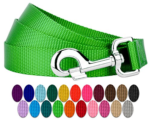 Country Brook Petz - Everyday Nylon Dog Leash - Strong, Durable, Solid Color Leash with Easy to Use Snap - 25+ Colors (1 Inch Wide, 4 Foot, Hot Lime Green)