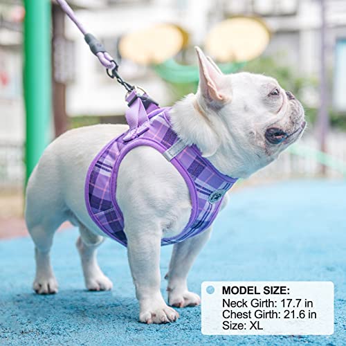 Beautyzoo Small Dog Harness And Leash Set,Step In No Chock No Pull Soft Mesh Dog Harnesses Reflective For Extra-Small/Small Medium Puppy Dogs And Cats, Plaid Dog Vest Harness For Xs S Pets,Purple Xl #TOP6