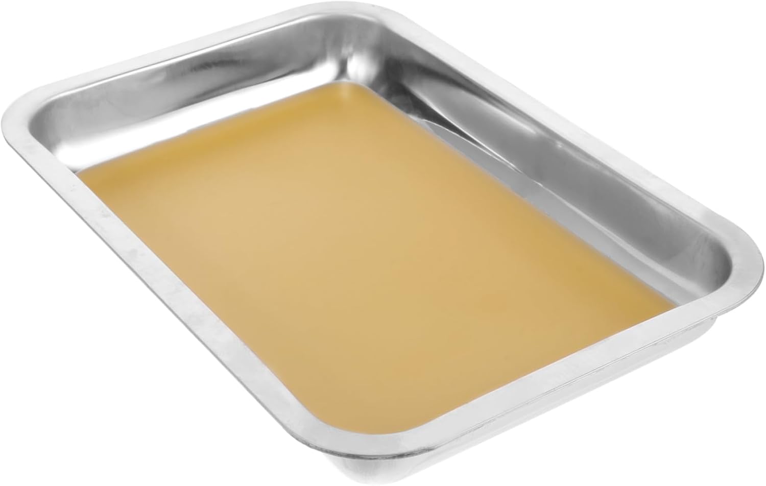 Alipis Tray Wax Dissection Kit Stainless Steel Dissecting Plate for Biological Experiment