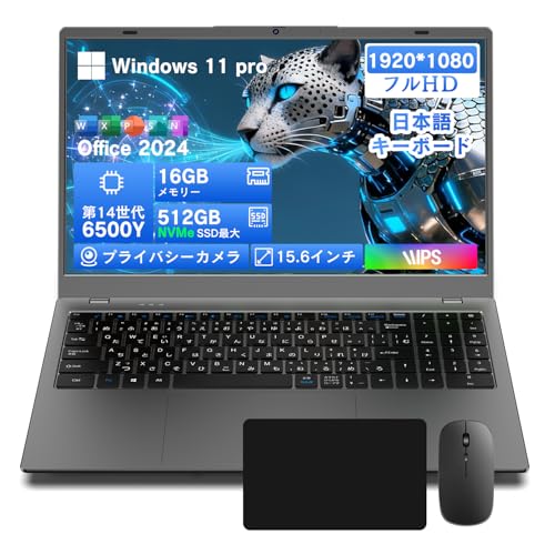 �m�[�g�p�\�R�� windows 11 office���� ���{��L�[�{�[�h ��14���� 6500Y �p�\�R�� �m�[�g15.6�C���` 1920×1080IPS�t�� Dobios�m�[�gPC USB3.2/Type-C�iPD�j/web�J����/���� WIFI5/BT