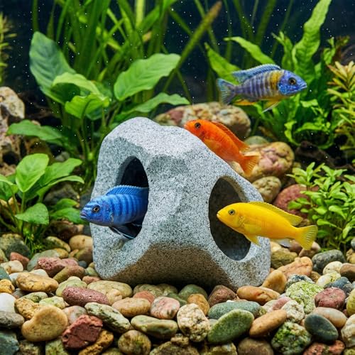 Image of Premium Beta Fish Tank Decor, Beta Fish Tank Decorations, Betta Fish Tank Accessories, Fish Rocks Hiding, Playing, Resting Spots - Avoid Aggressive Behavior (Alien)
