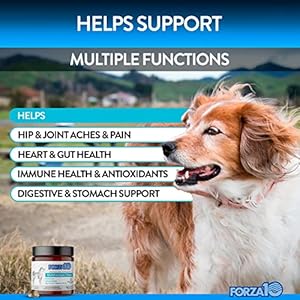 Forza10 Dog Vitamins Supplements Dog Multivitamin Chews Pet Vitamins for Dogs Peanut Butter Flavor Dog Supplement Multivitamin for Dogs Senior Dog  Puppy Vitamins Small to Large Breeds 90 Ct  Cucciolini Doodles Forza10 dog vitamins supplements dog multivitamin chews pet vitamins for dogs peanut butter flavor dog supplement multivitamin for dogs senior dog  puppy vitamins small to large breeds 90 ct   cucciolini doodles