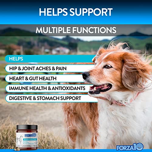 Forza10 Dog Vitamins Supplements Dog Multivitamin Chews Pet Vitamins for Dogs Peanut Butter Flavor Dog Supplement Multivitamin for Dogs Senior Dog  Puppy Vitamins Small to Large Breeds 90 Ct  Cucciolini Doodles Forza10 dog vitamins supplements dog multivitamin chews pet vitamins for dogs peanut butter flavor dog supplement multivitamin for dogs senior dog  puppy vitamins small to large breeds 90 ct   cucciolini doodles