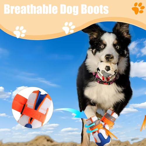 Chaussons pour chien durables et confortables pour Teckel