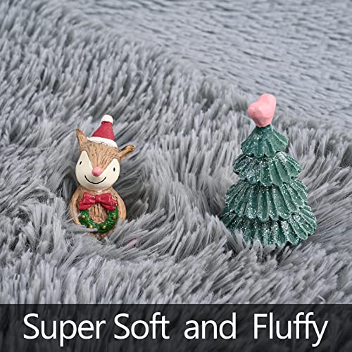 Lascpt Area Rugs For Living Room, Super Soft Fluffy Fuzzy Rug For Bedroom, Grey Furry Shag Rug 4X5.9, Plush Carpet Home Decor For Girls Kids Dorm Room, Accent Indoor Non-Slip Cute Baby Nursery Rug #TOP1