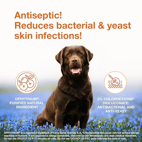 Douxo S3 Pyo Shampoo, Contains 3% Chlorhexidine & 0.5% Ophytrium, Antiseptic & Hydrating, For Bacterial or Yeast Skin Infections, For Dogs and Cats, 6.7 fl. oz. (200mL) - Image 3