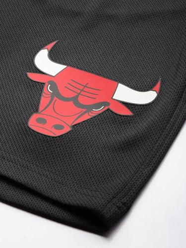 Image of Shop The Arena: Chicago Bulls Basketball Shorts