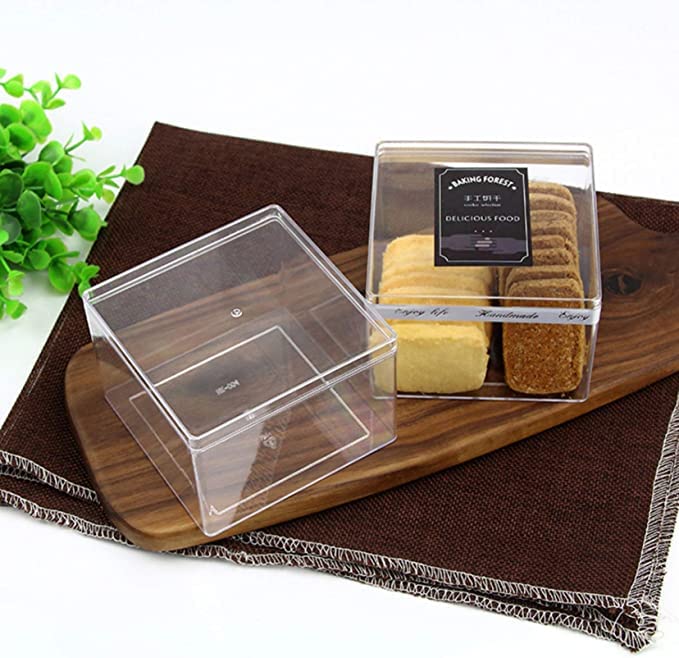 Alpha Basics Plastic Dessert Box Cake Tub with lid (Pack of 10