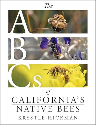 The A B C&rsquo;s of California Native Bees