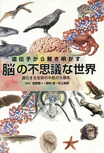 脳の不思議5選の表紙画像