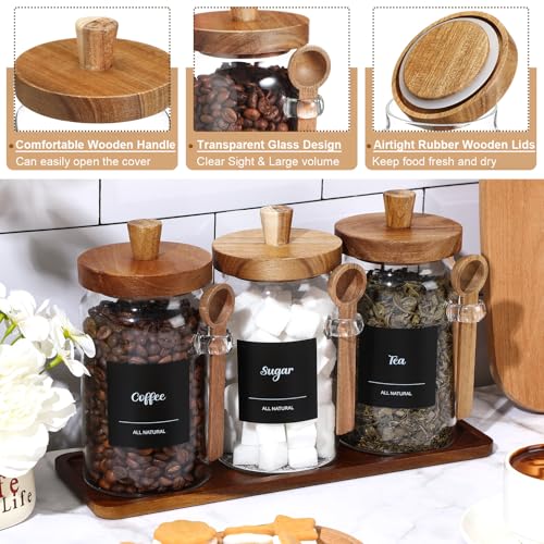 Image of Suclain 3 Pcs Glass Coffee Container Set, 25 oz, Acacia Brown | Coffee Tea Sugar Canister Set, Airtight Jar Food Storage with Wood Spoon Tray Labels, Kitchen Counter Bar Organization