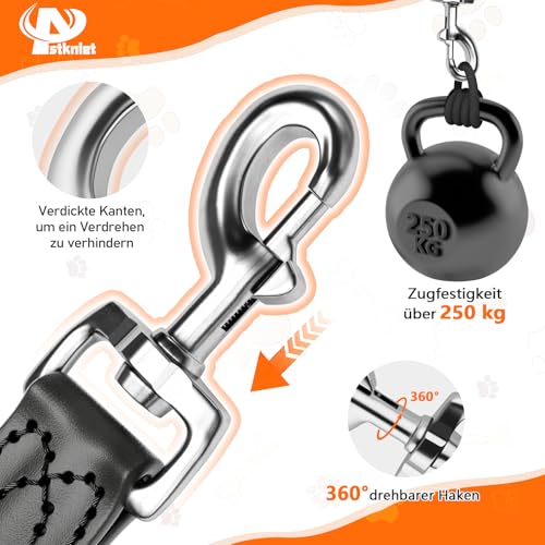 Aystkniet 3M Verstellbar Hundeleine für Große und Mittlere Hunde, Robuste Nylon Reflektierende Freihandleine mit 2 Karabiner, Vielseitig Führleine und Umhängeleine mit 250kg Zugkraft, Grün 12mm