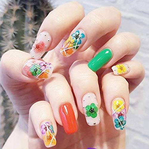 lixuesong 15 peças de enchimento de arte de resina de flores secas real prensado folha de flor DIY m