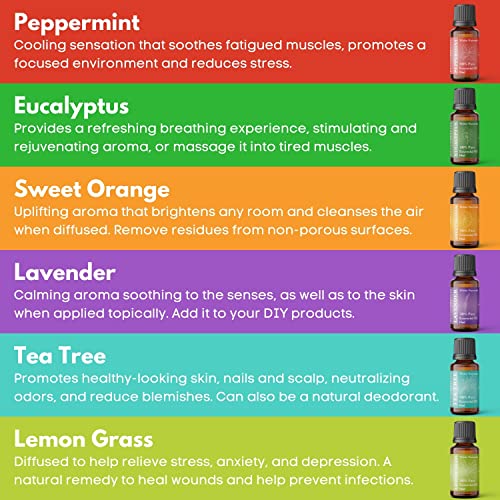 Aromatherapy Essential Premium Oils Set, Diffuser Fragrance Essential Oil Kit, Includes Peppermint/Tee Tree/Sweet Orange/Lemongrass/Lavender/Eucalyptus Oils- Pack Of 6 #TOP2