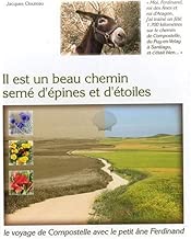 Download Il est un beau chemin semé d'épines et d'étoiles PDF