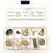10 Piece Genuine Fossil Collection - Dinosaur Eggshell, Shark Teeth, Ammonite, Mosasaurus Tooth and More!