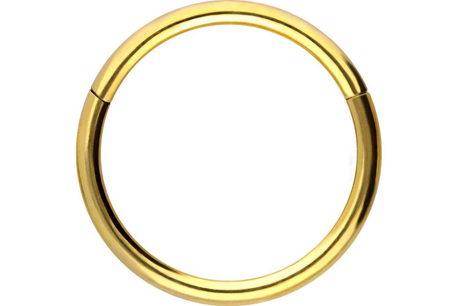 PIERCINGLINE Anillo segmento Clicker de acero quirúrgico – Piercing en oro, plata, rosa, negro o azul – para nariz, tabique, oreja, hélice o tragus — view 75