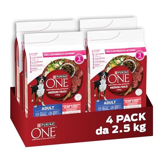 Purina One Medium/Maxi > 10 kg Crocchette Cane Adult Ricco in Manzo con Riso, 4 Sacchi da 2.5 kg Ciascuno