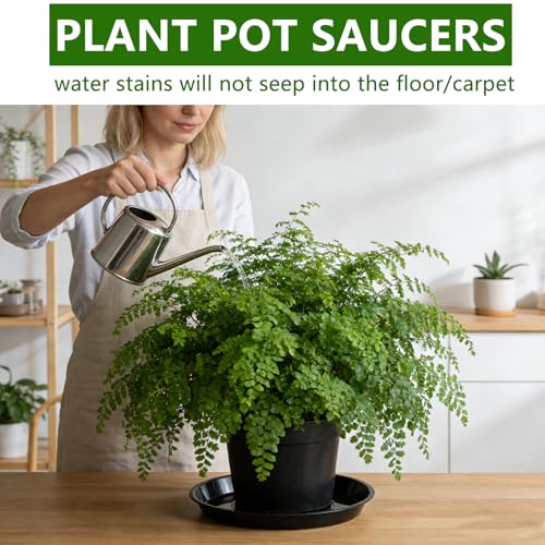 Soucoupes pour plantes Rainmae lot de 8 coupelles rondes de 41 cm sans trous en plastique. - 6
