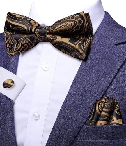 Image of Dubulle Mens Paisley Striped Bowtie Set Pre-tied Bowtie for Men and Pocket Square Set Wedding Business